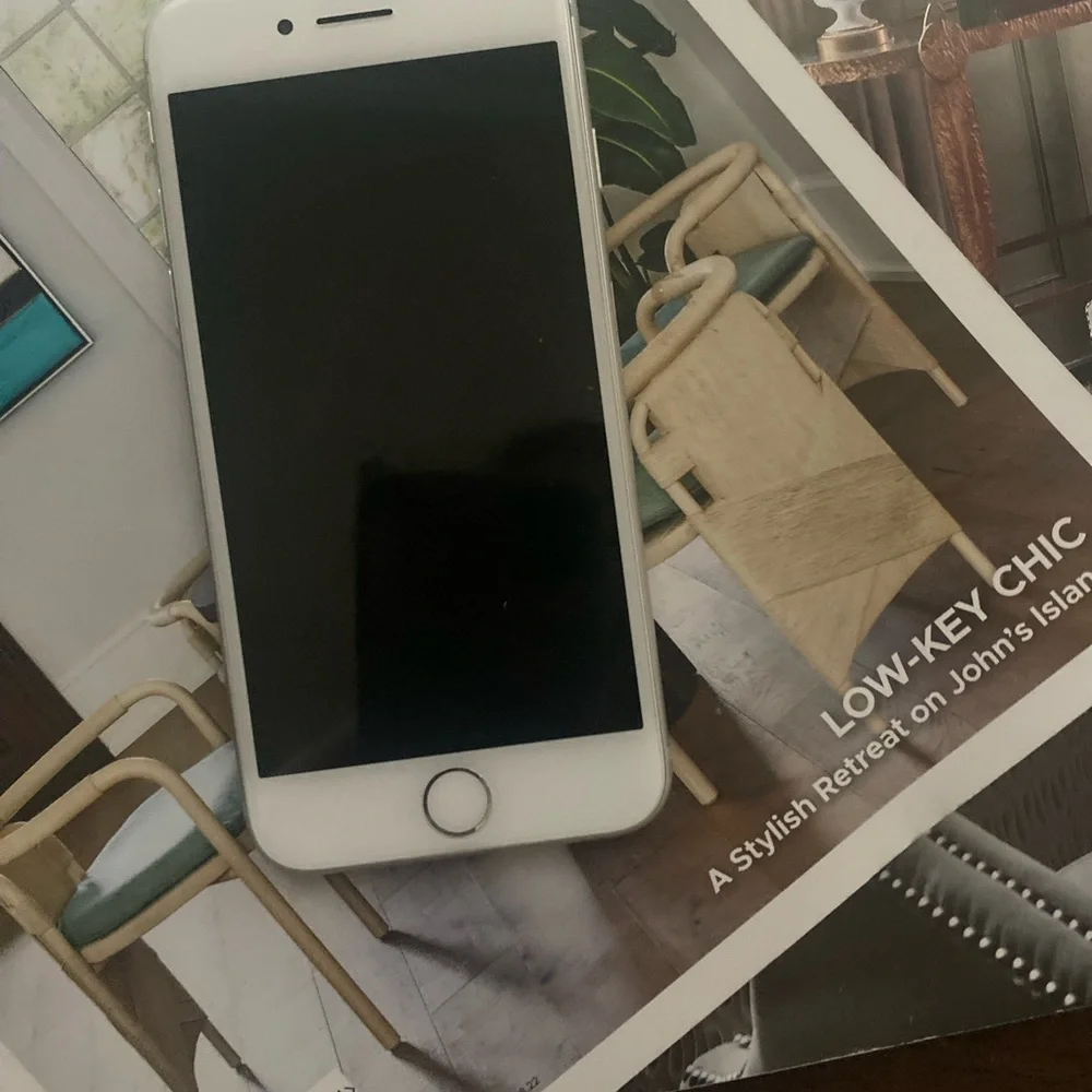 Apple iPhone - Silver
